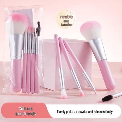 Portable Makeup Brush Set: Powder, Eyeshadow & Detail Brushes for Beginners