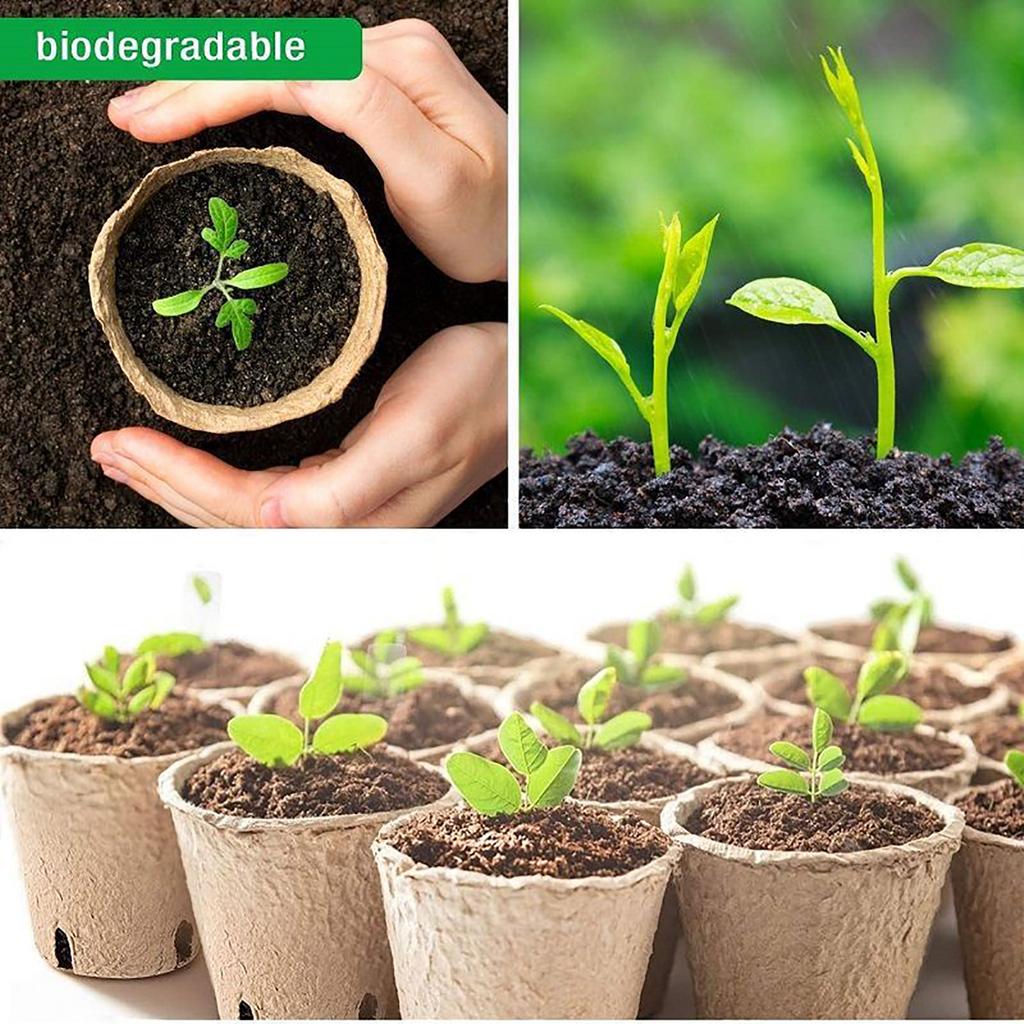 30 Stück biologisch abbaubare Papierbrei-Tasse Pflanzenanzuchttöpfe Garten Gewächshaus Keimung Anzucht Pflanzwerkzeuge