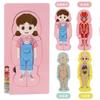 Children's Early Education Characters Body Organ Structure Cognitive Puzzle Brain Multi-Layer Development Wooden Toys