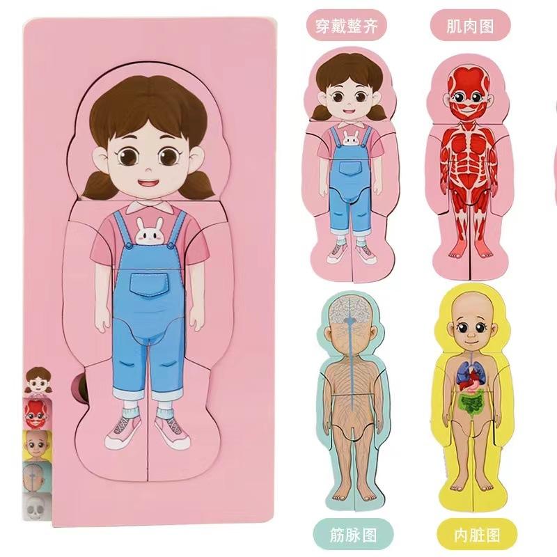 Children's Early Education Characters Body Organ Structure Cognitive Puzzle Brain Multi-Layer Development Wooden Toys