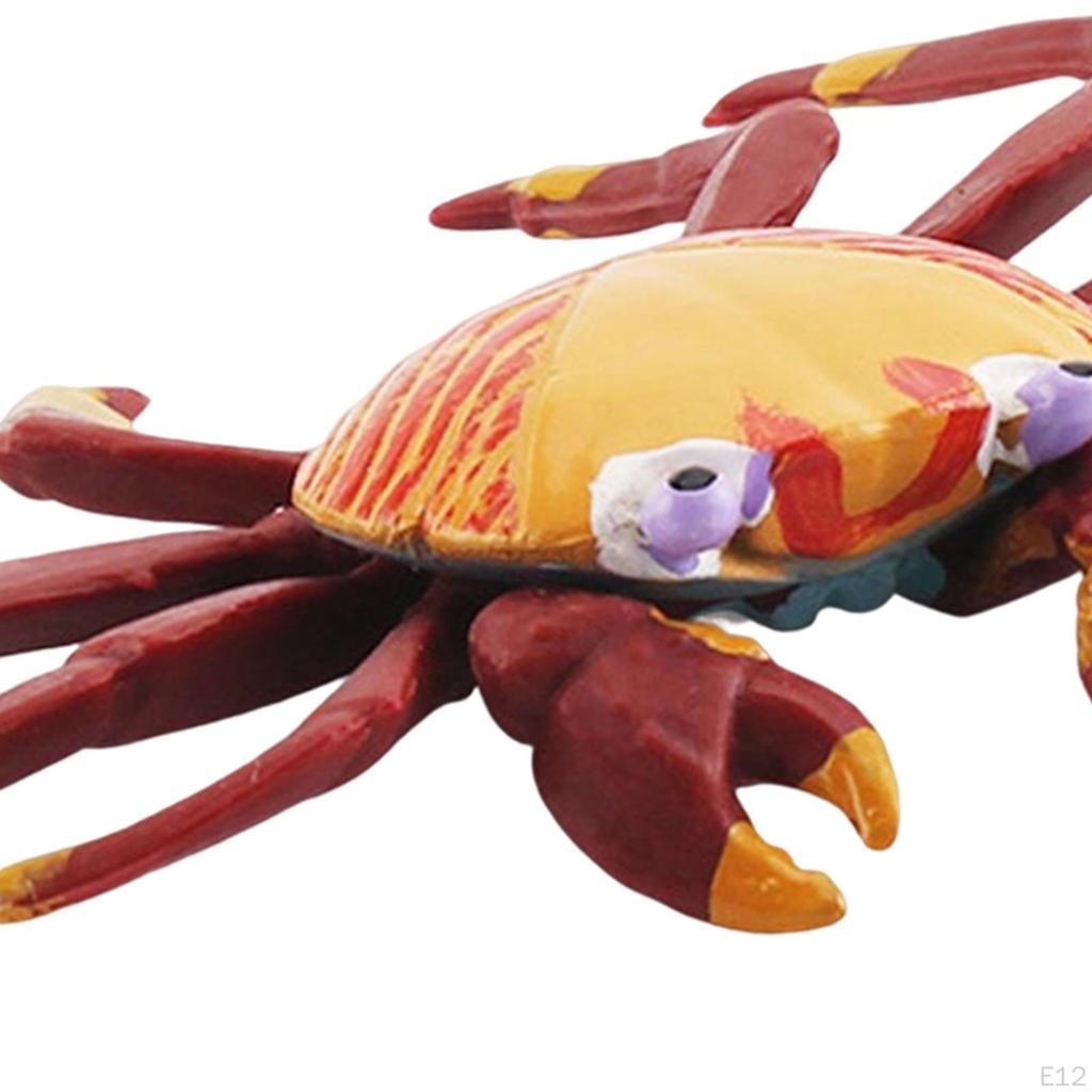 Hand Painted Mini Crab Figurines Model Realistic Detailed Action Figures for Children Kids