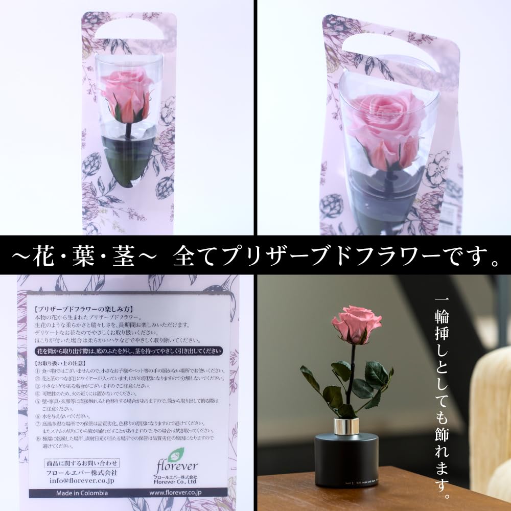 Flor preservada Flor preservada con estuche transparente L Conejo y una sola rosa Flor preservada Rosa Presente Celebración Aniversario Cumpleaños