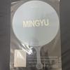 [USED] SEVENTEEN Incheon Seoul Concert MD Image Picket Mingyu