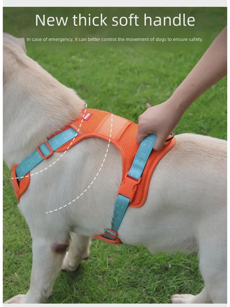Retractable Dog Vest and Collar with Harness