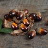 Artificial Nut Decoration Set Brown Textured LDPE Plastic Nut 50 Piece Set for Wreath Projects, Table Styling, Party Scenes Y5GB