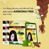 Sunny Herbals Burgundy Hair Color 20G X Pack of 4 | Ammonia-Free Hair Dye for All Hair Types with Natural Herb Blend