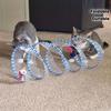 Interactive Tunnel Game Tube Artificial Feather Mouse Toy Stimulates Indoor Cats Kittens Pet Activities