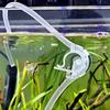 2Pcs U Shaped Clip Aquarium Air Tube Holder Clip with Suction Cup Fits 4-6mm Round Pipe Fish Tank Air Tube Fixing Clip