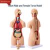 Produse pentru școală – Echipament pentru instruire