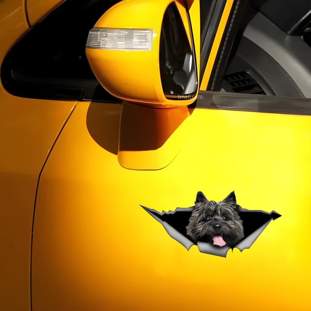 Car Stickers for Crow Hidden In Holes, Waterproof Irregularly Shaped Car Decoration Decals