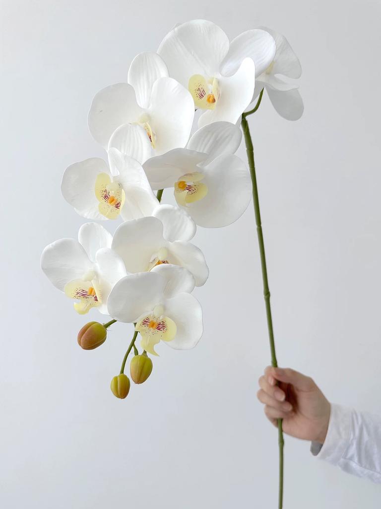 Real Touch Artificial Orchid Flowers 9 Heads White Phalaenopsis Long Stem Yellow Faux Orchids for Home Wedding Centerpiece Decor