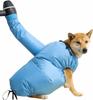 Kit de sèche-cheveux rapide pour animaux de compagnie, circulation d'air à 360°, sèche-cheveux mains libres compatible avec sèche-cheveux/souffleur, pour chiens et chats petits, moyens, grands