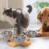 Elevated Cat Bowls Pets Water and Food Bowl Set Portable Puppy Dishes Pet Feeding Station Height
