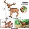 Wild Safari Animal Figurines: Giraffe, Elephant, Rhinoceros, Brown Bear, Tiger, Lion, Leopard, Hippopotamus - Solid Cognitive Toys