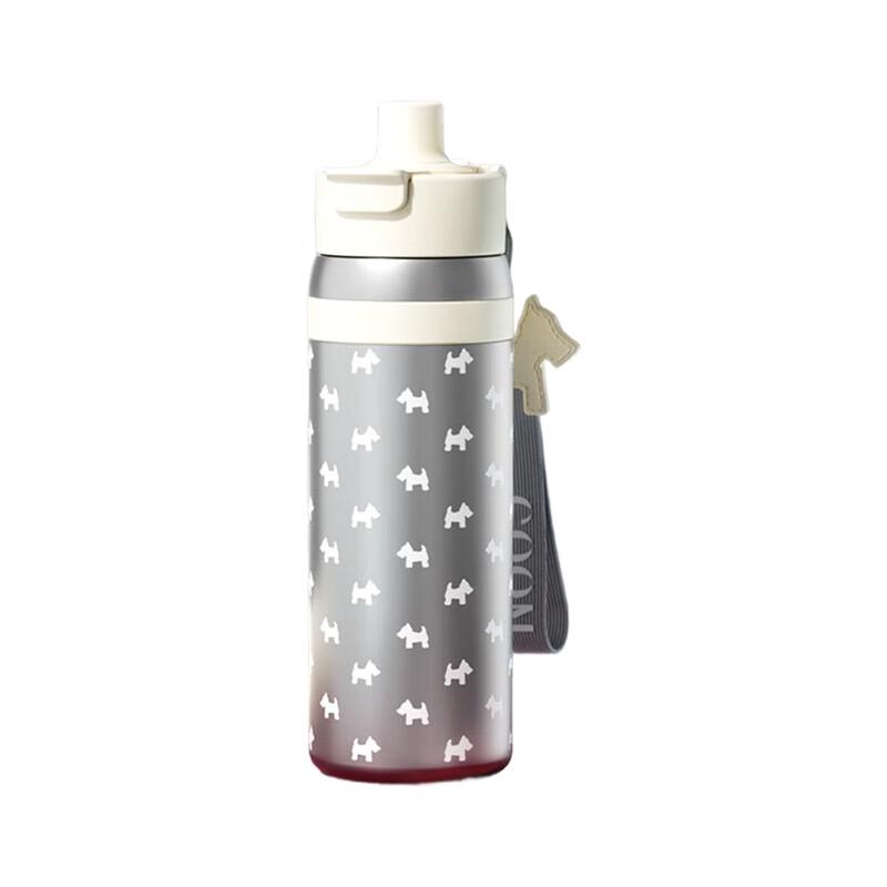 GOOM GM-25AW-B11 Insulated Straw Water Bottle with Handle