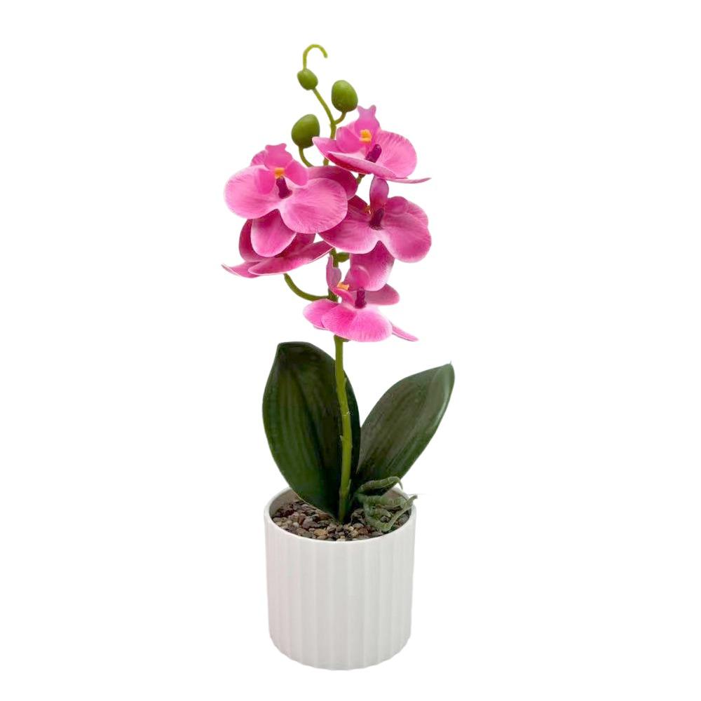

New with Pots Artificial Phalaenopsis Miniscape Vibrant Color Artificial Phalaenopsis Potted Plant Realistic Artificial Flower