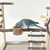 Stable Pet Parrot Training Stand Parrot Bird Training Stand Bird Cage Perch with Feeding Cups Swing Standing Wood Toy