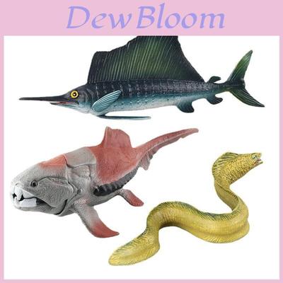 אספנות ודגמים – דגמים