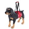 New Product Dog Auxiliary Belt Elderly Dog Disabled Pet Rehabilitation Exercise Belt Upstairs Assistance Belt Pet Products
