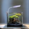 1Pcs Fish Tank Lamp LED Aquarium Frame Light Easy Clean Uniform Illumination Ideal for Aquatic Plants Fish Tanks Lighting Tool