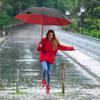 125cm Umbrellas With Waterproof Cover Enlarged Portable Long Handle With Curved Hook, Automatic Sun Umbrella Rain Umbrellas