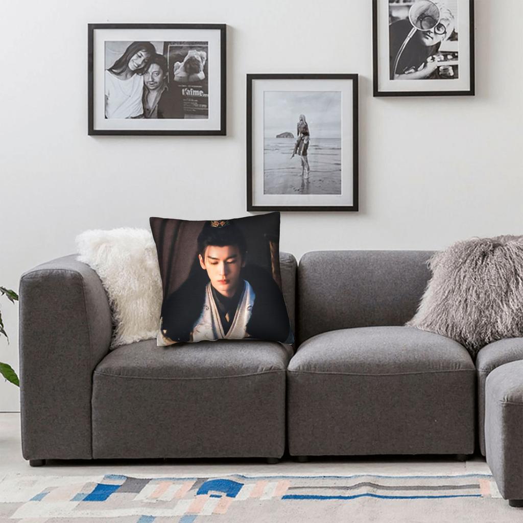 Tv Pursuit Of Jade X-Xie Zheng Z-Zhang Linghe Pillow Cover Print Cushion Cover Retro Trendy Pillow Case For Sofa Home Decor