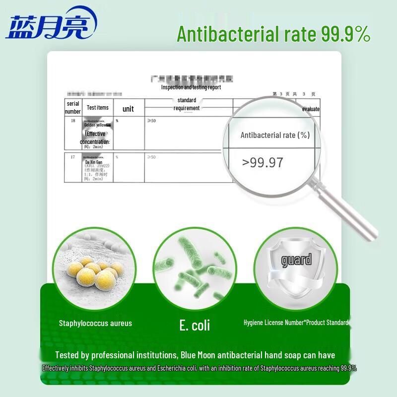 Blue Moon Antibacterial Hand Wash Refill Pack