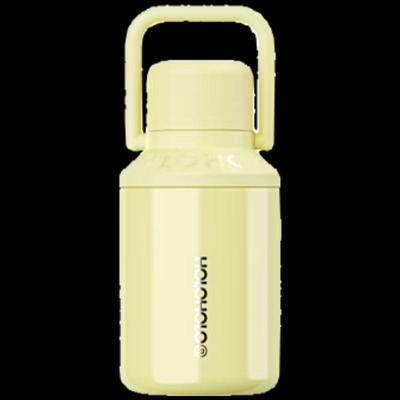 HOLOHOLO AK-01 Insulated Thermos with Handle and Tea Filter