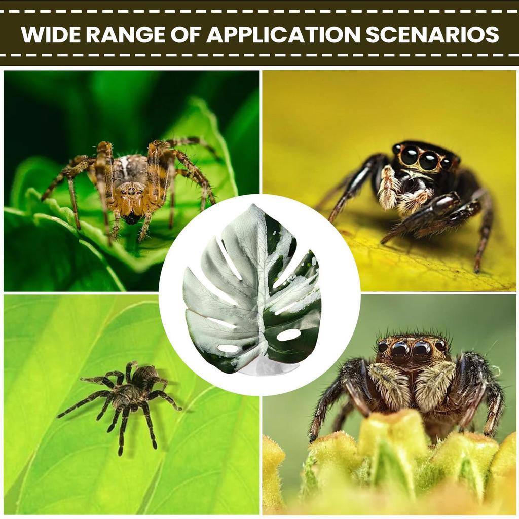 Jumping Spider Plants Simulated Pets Supplies With Suction Cup Spider Jumping House Decor For Greenhouse Terrarium Snake Carpet