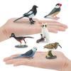 Lifelike Crow Bird Model Pvc Material Educational Toy Bird Figurine Non-assembly 3c Certified