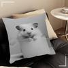 Black And White Cute Animal And Toilet Pillow Gift Home Office Decoration Pillow Bedroom Sofa Car Cushion CoverPillow Case
