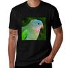 Princess Parrot Profile Tshirt Christmas Casual Short Sleeve Top
