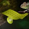 Suction Cup Lizard Climbing Hanging Bed with Rope Sun Mat Hammock Pet Cradle Crawler  Frogs