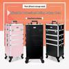Professional Rolling Makeup & Storage Case