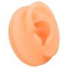 Silicone Ear Acupuncture Practice Model Reusable Simulation Ear Display Model False Ear Model