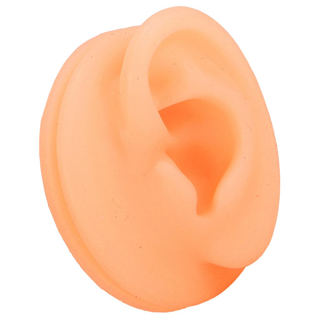 Silicone Ear Acupuncture Practice Model Reusable Simulation Ear Display Model False Ear Model