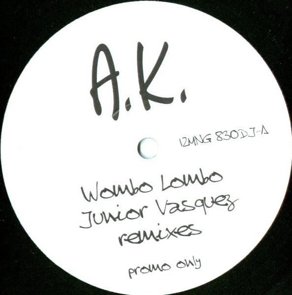 

12inch Record ANGLIQUE KIDJO Wombo Lombo Junior Vasquez Remixes 12MNG830DJPROMO Mango 1996 UK Dance Electronica Used