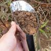 3er-Pack Edelstahl-Gartenschaufeln zum Filtern von Erde, Umtopfen und Pflanzen von Sukkulenten und Blumen