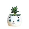 Japanese-Style Cute Mini Succulent Plant Ceramic Small Flower Pot, Simple And Creative Expression Flower Pot, New Succulent Flower Pot