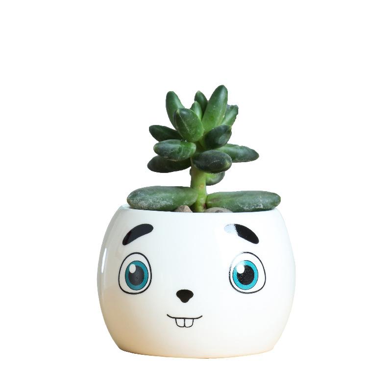 Japanese-Style Cute Mini Succulent Plant Ceramic Small Flower Pot, Simple And Creative Expression Flower Pot, New Succulent Flower Pot