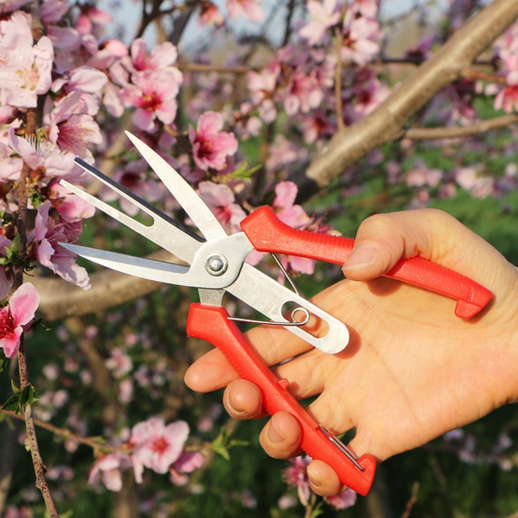 1Pc Double-Edged Fruit Flower Thinning Scissors Carbon Steel Garden Orchard Plant Kiwi Pear Apple Trees Multi-use Pruning Tools