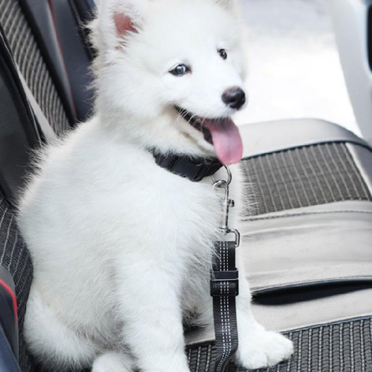 Pet Dog Car Seat Belt Clip Bungee Lead Vehicle Travel Safety Harness Adjustable