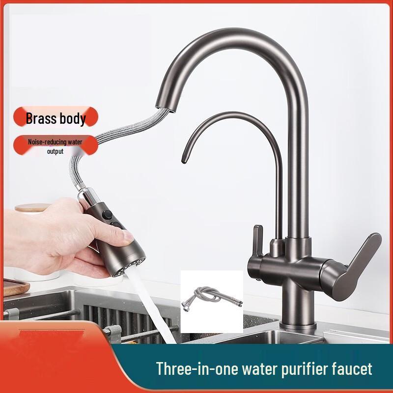 TLXT Black Brass 3-in-1 Kitchen Pull-Out Faucet