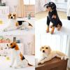 Realistic Dog Plush Toy With Short Fur For Kids And Collectors