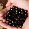 Natural Soapberry Bodhi Seed Prayer Beads Bracelet – 108 Beads, 500g Bulk