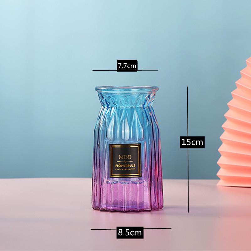 European Glass Vase for Fresh or Dried Flowers - Simple, Creative Home Decor Ornament