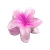 Women Small Hair Clip Flower Hair Grip Realistic Flower Shape Gradient Color Strong Claw Anti-slip Small Teeth Lightweight Children