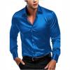 2025 Men's Silky Fabric Long-Sleeve Business Casual Shirt