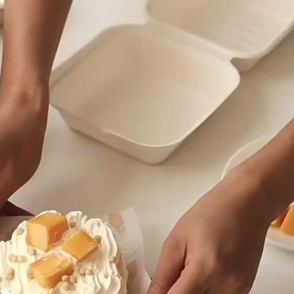 20 Stück/Set Backen Verpackung Backen Kuchen Snackbox Lebensmittelbehälter Dessertbehälter Bäckereibedarf