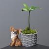 Puppy Figurine Flowerpot for Windowsills Desktops Decorative Planter Flower Basket Home and Office Decoration Use